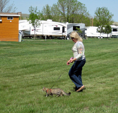 Izzy and Joan walking
