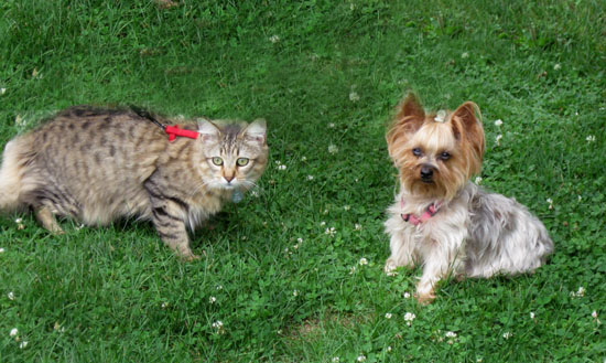 Izzy and Snack