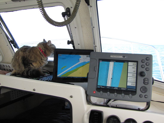 Izzy, iPad, E-80