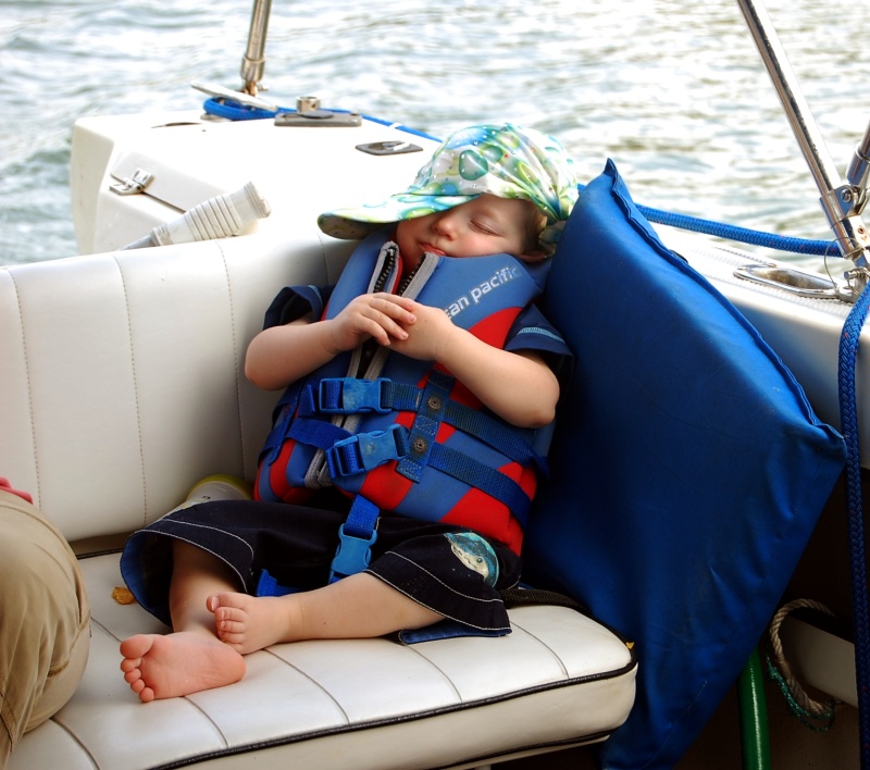 Jack snoozing on the Bench Seat