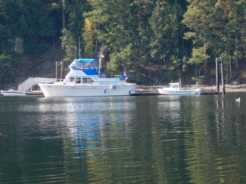 Jack's Tolly Glory Be and Tender Pocket Yacht