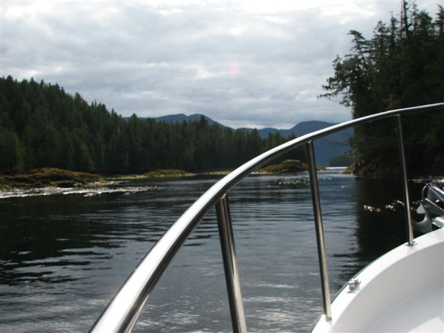Jackson Narrows