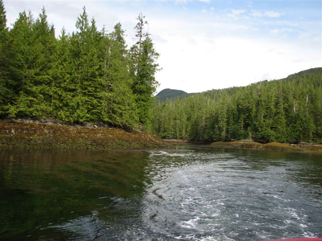 Jackson Narrows1