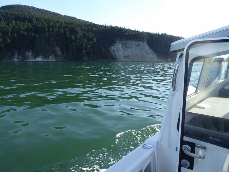 Jan14th-10-Strawberry Bay Cypress