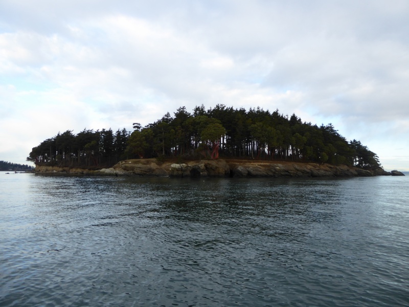 Jan15th-07-Clark Island
