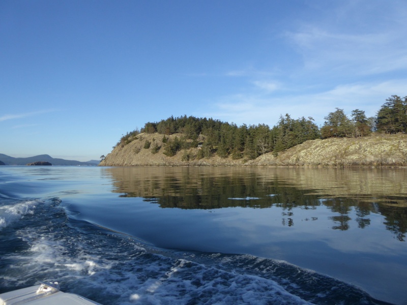 Jan15th-35-Willow Island next to Spencer Spit