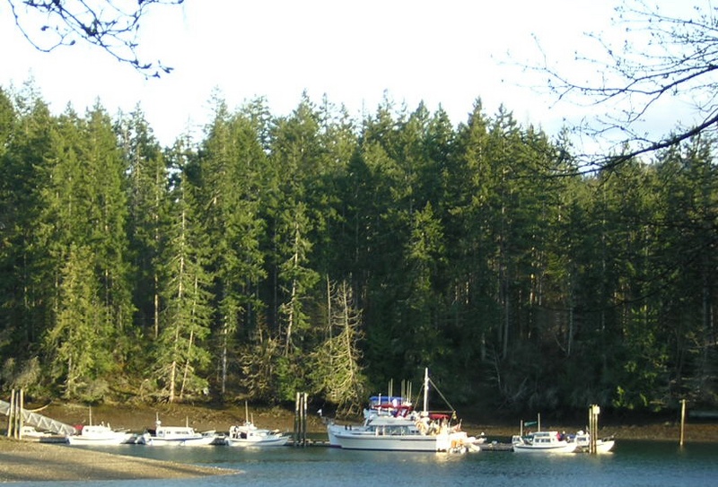 (Jeff and Diane) Jarrell's Cove View from Marina