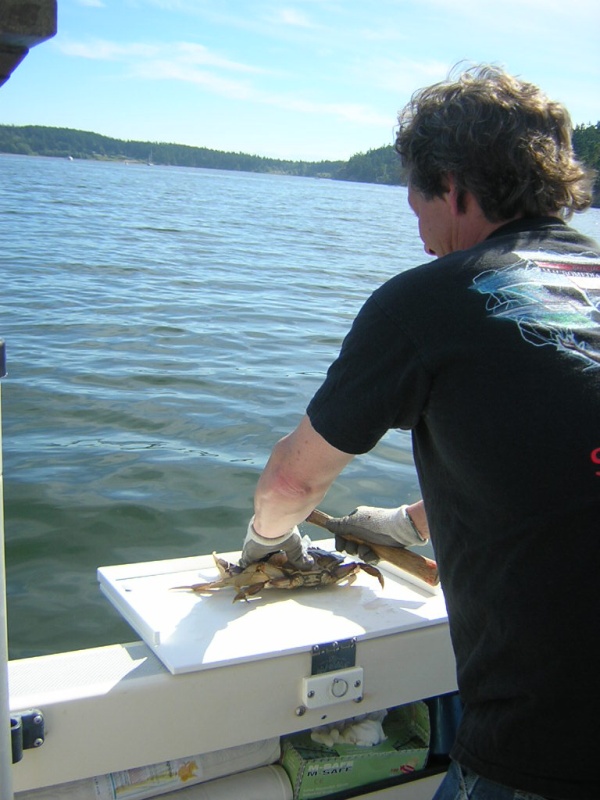 (Jeff and Diane) Jeff\'s Crabs