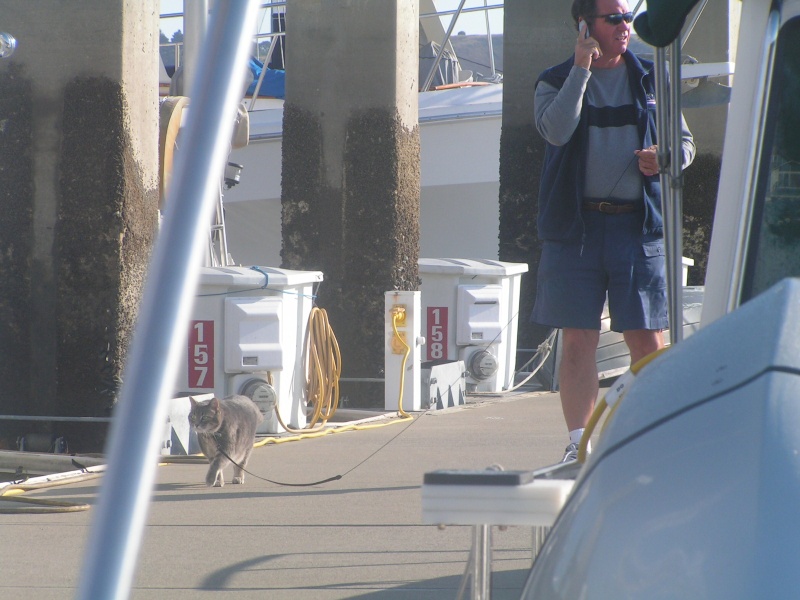 Jim taking Molly for a walk, or, is it the other way around??