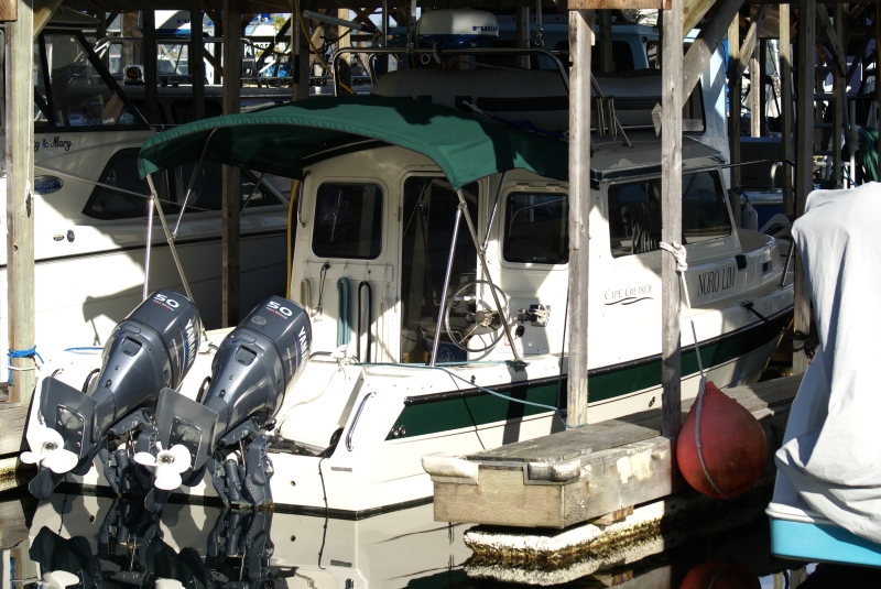 Johnson Point Marina 11-27-09 004