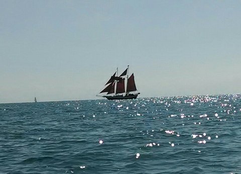 Jolly Rover at sail Key West BYOB sunset sail.