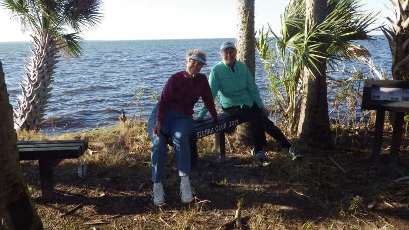 Joyce (and others) built this bench, fall 2014