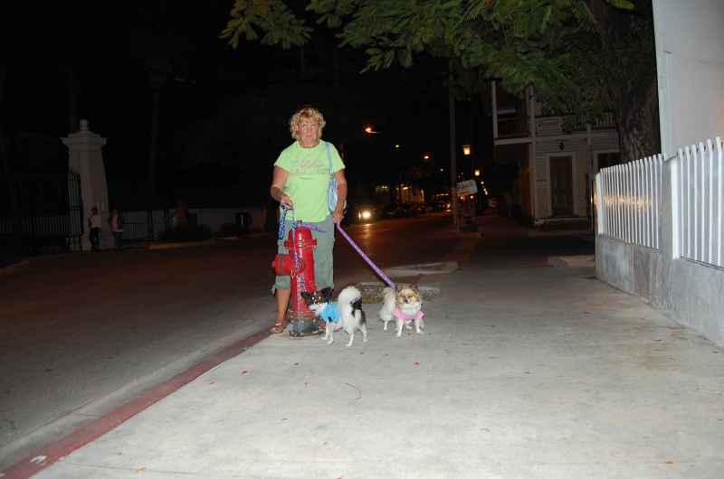 Judy, Dabber & Daisy teaching Dabber what a Fire Plug is all about.