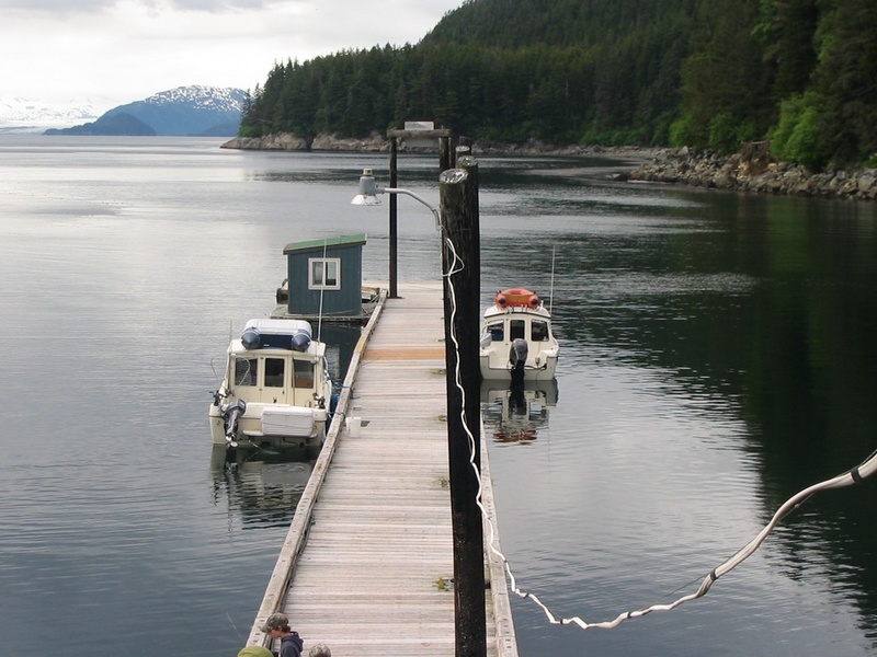 (Juneau_Jason) Elfin Cove looking to Cross Sound