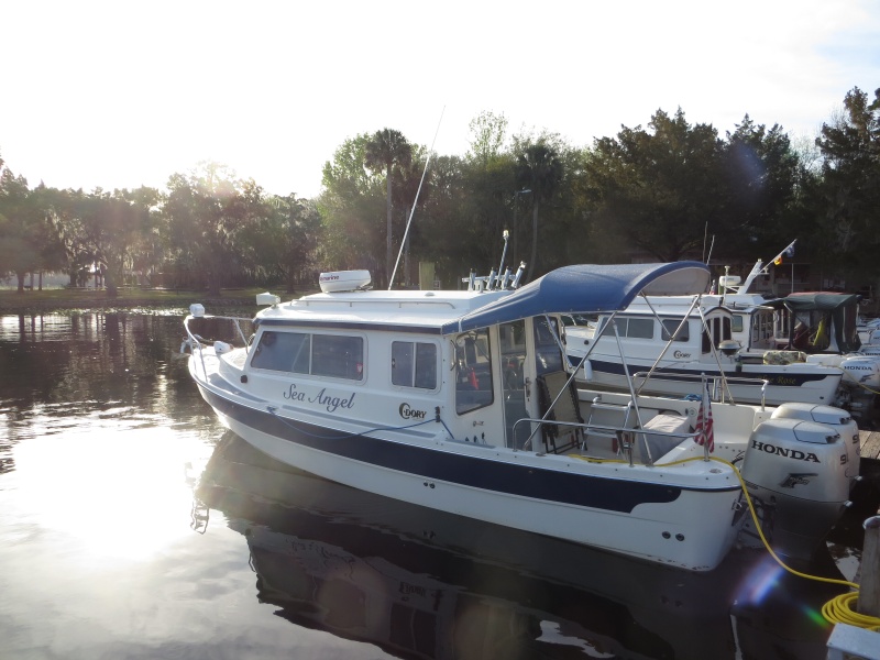 Ken and Sharon\'s Sea Angel