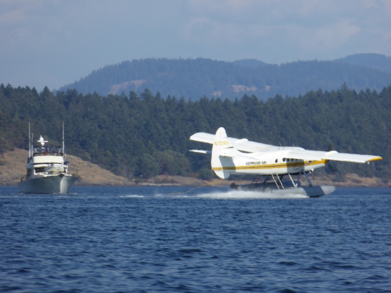 Kenmore plane taking off