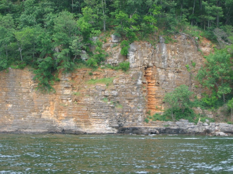 Kentucky Lake shoreline