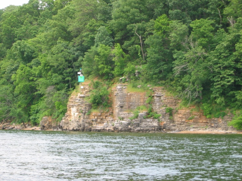 Kentucky Lake shoreline