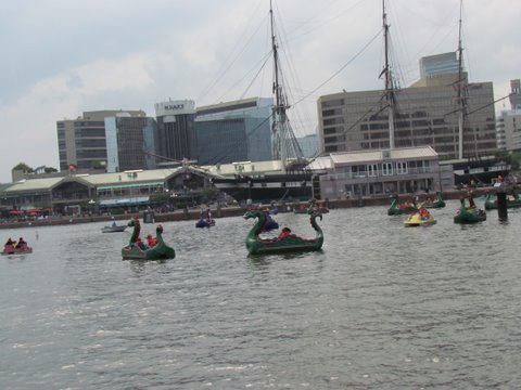 kids paddling around Baltimore's Inner Harbor