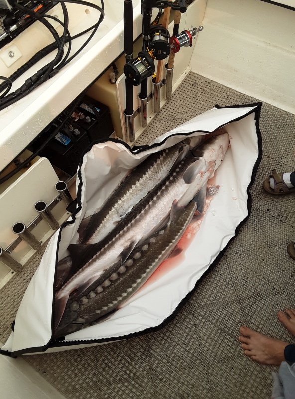 Kill bag