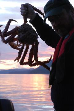 King Crab