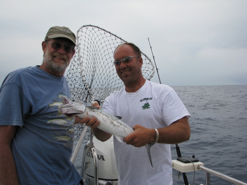 King Mackerel