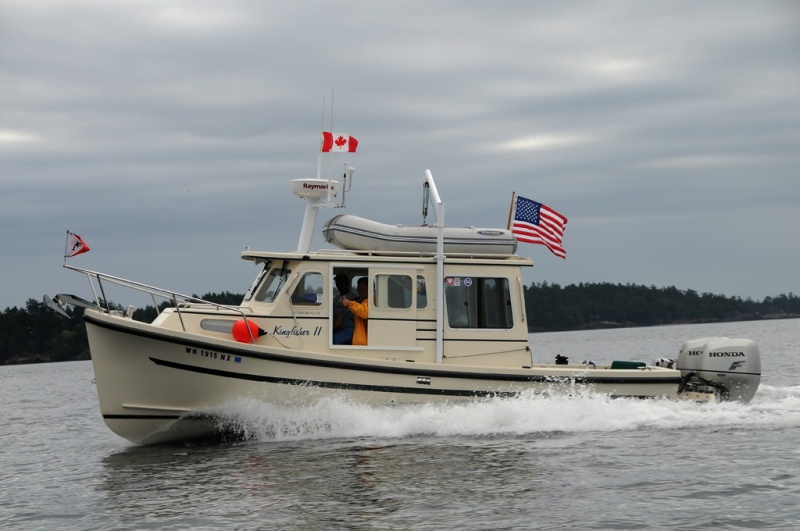 Kingfisher II  - Looking Good
