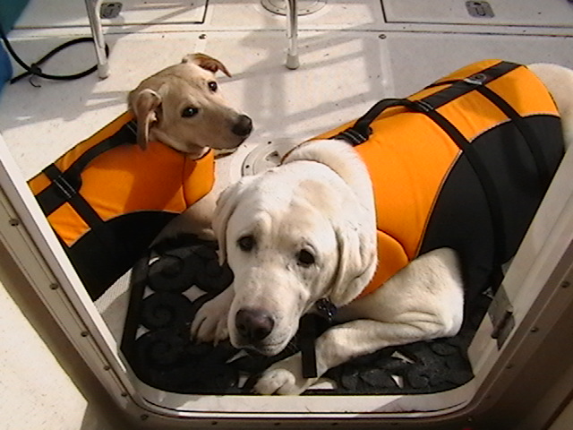 (Knotty C) Troy & Belle in Life Jackets