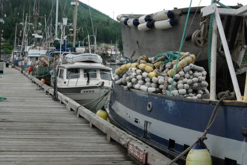 Knotty C with the Fishing Fleet in Wrangell, Alaska