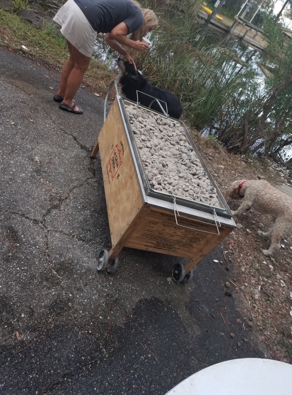 La Caja China Pig Box