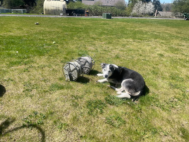 Lacey approves of the new rope winders.