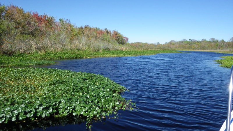 Lake Dexter