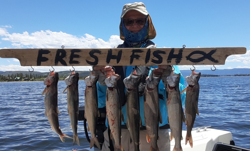 Lake Granby early season lake trout
