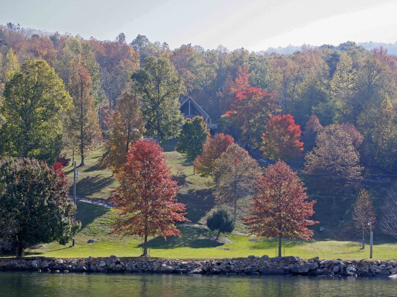 Lake Homes along Nickajack