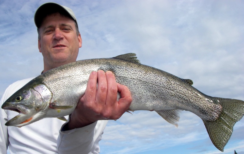 Lake Washington Cutthroat
5lbs, 24" - my biggest to date