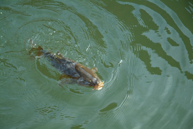 LAKEPOWELL-2008 074.jpg