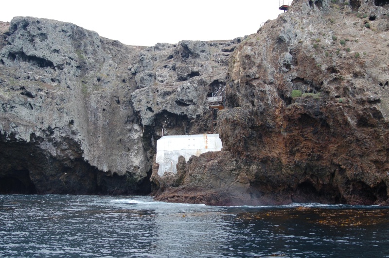 Landing Cove.  Ladder is on left of concrete landing -- about 8-12 rungs depending on tide.  Then, 150+ steps up to the Island's plateau.
