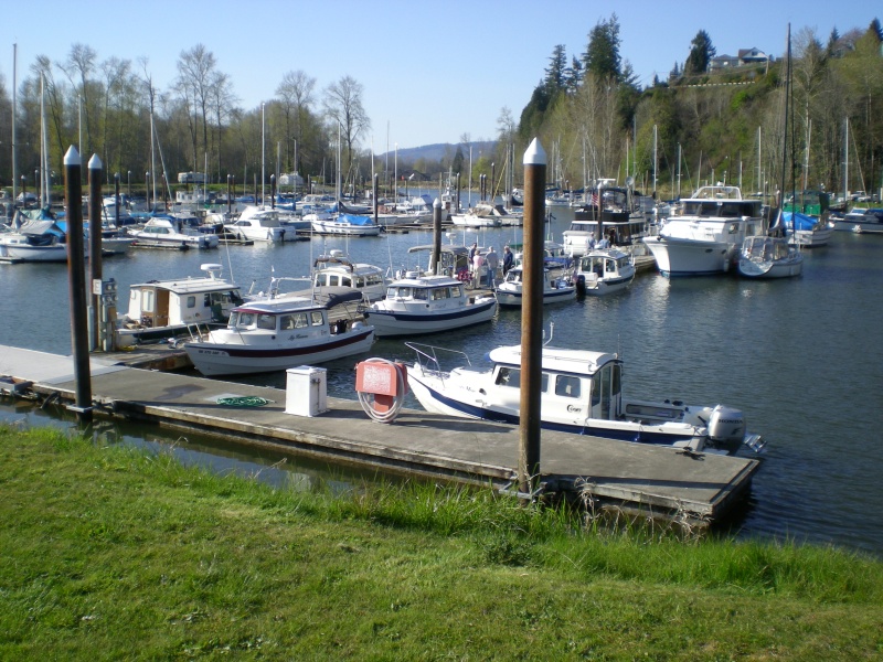 Last one in from fishing gets the sewer dock