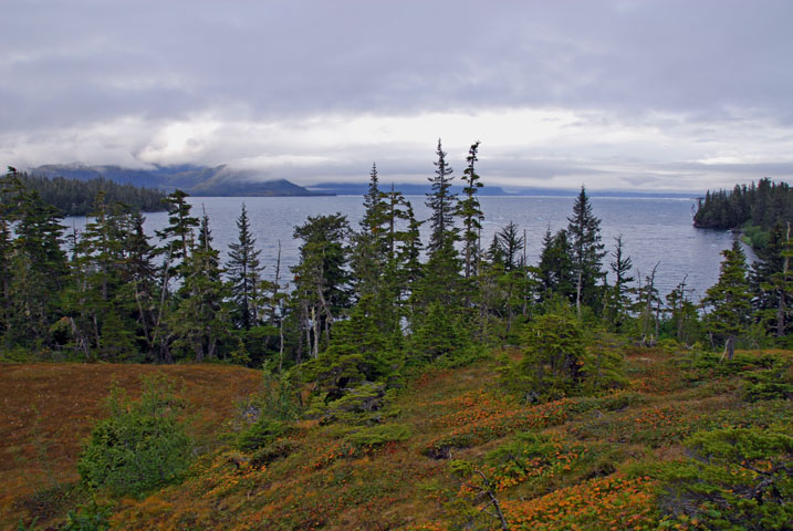 Late September colors on Growler Island.  Winter is around the corner.
