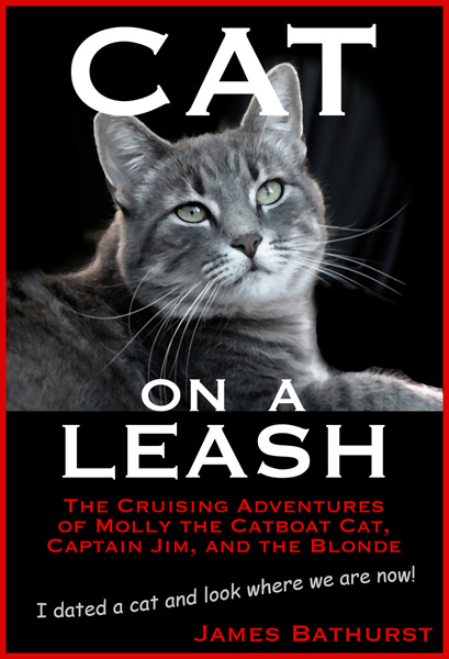 Latest cover design

?2010 James Bathurst