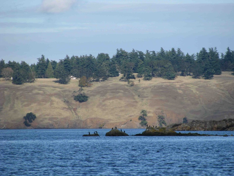 Leaving Roche Harbor -- The San Juan Islands offer many contrasts