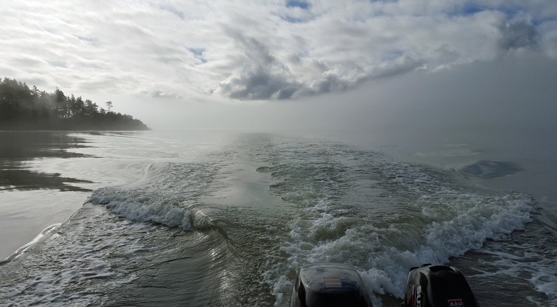 Leaving the fog behind