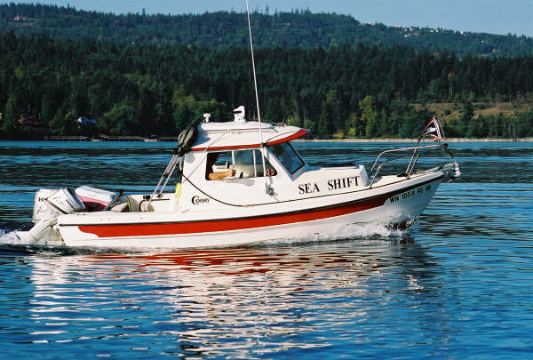 Leisurely Cruise