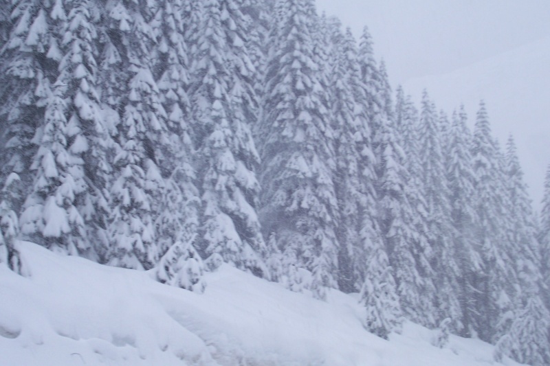 Let it snow