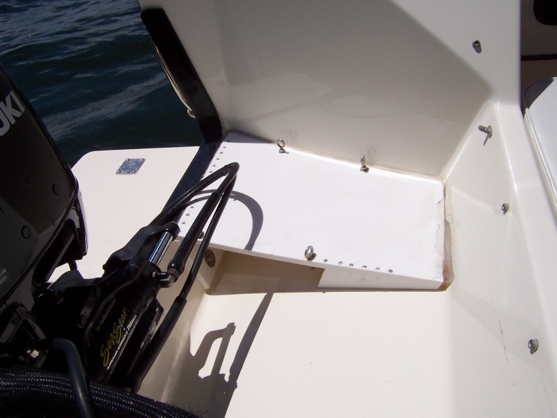 Level step and generator stand in splash well