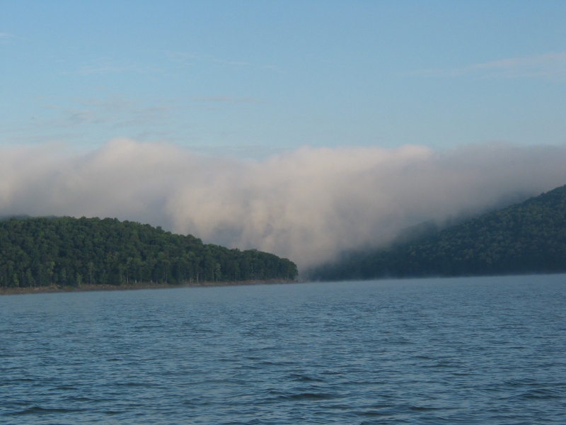 (Levity) Allegheny Reservoir