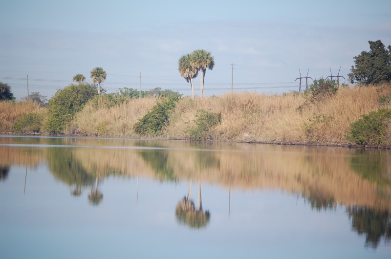 Levy along Big O Canal