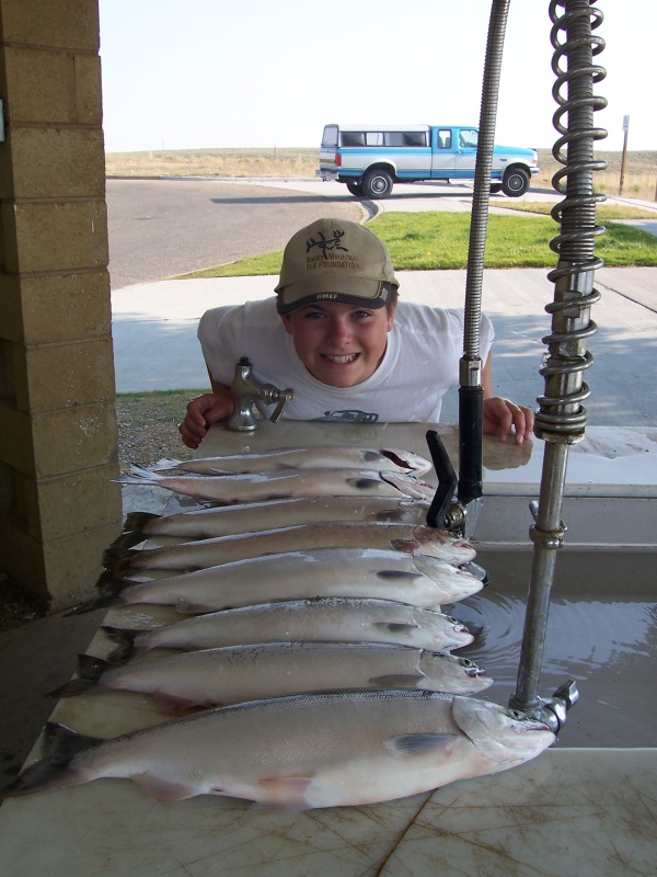 Limit of kokes