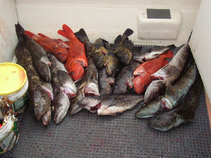 Limits of lings