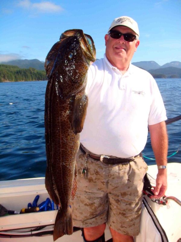 Ling Cod Seymour Narrows